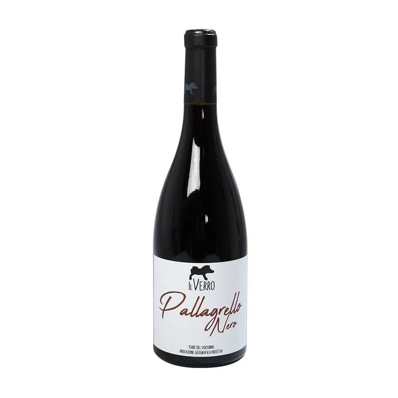 Pallagrello Nero Terre Del Volturno IGT 2024 - Il Verro