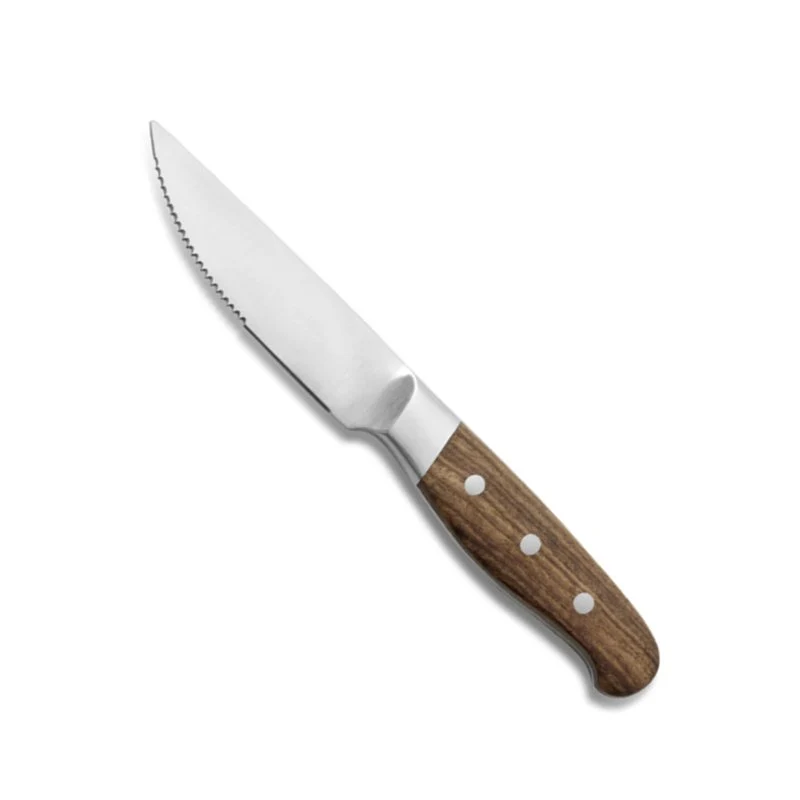Aconcagua Coltello Bistecca In Acciaio Inox - Set 6 Pz