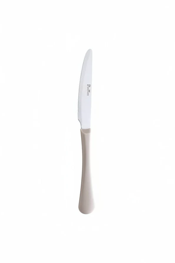 Pintinox Coltelli quotidiani 6 pz